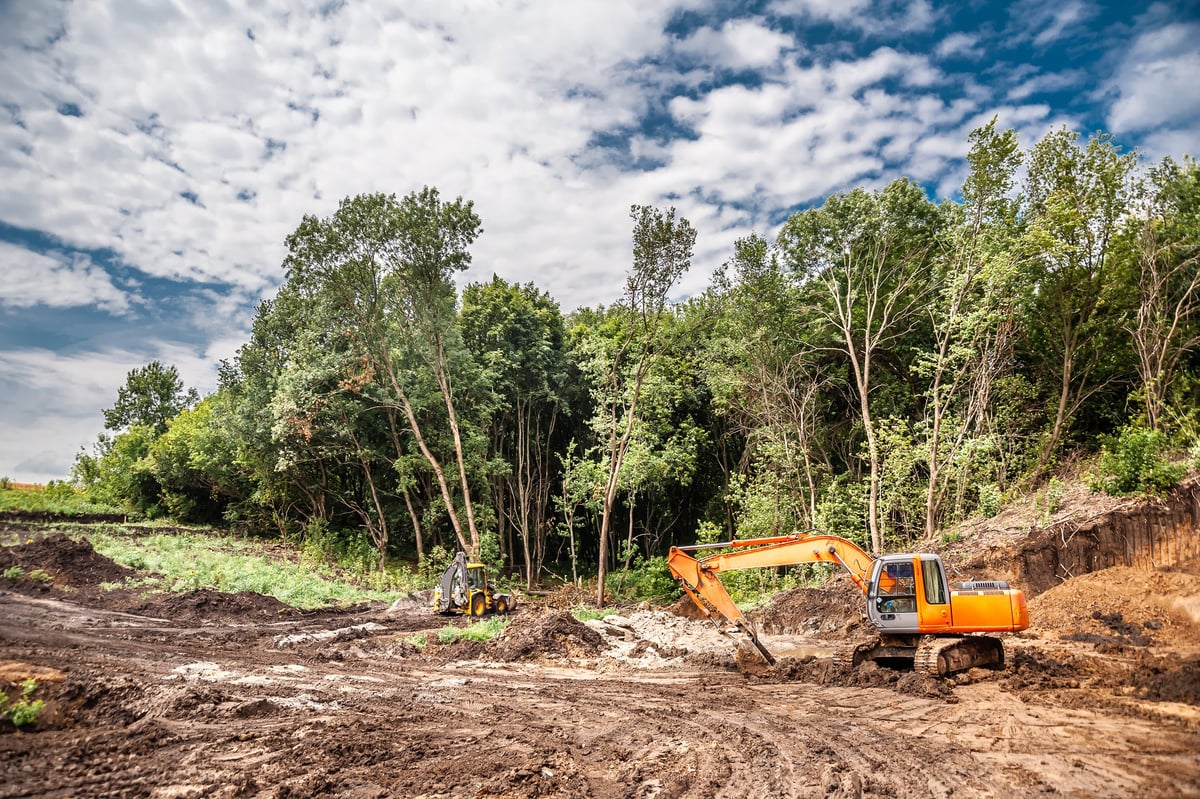Excavator clearing forested land to prepare the site for construction