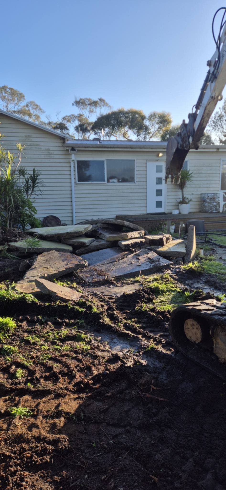 Excavator removing large logs and tree stumps from a residential backyard during landscaping